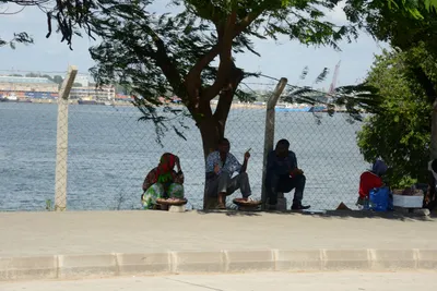 DSC_7570 (Large).JPG